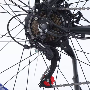 26 X4.0 Chất Béo Lốp Hợp Kim Nhôm Người Đàn Ông Tuyết Xe Đạp/Lớn 26 Inch Chopper Chất Béo Leo Núi Xe Đạp Để Bán/20 12 Tốc Độ Chất Béo Lốp Chu Kỳ - Product Image 3