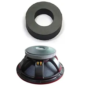 Sterke Magnetische Grote Ring Ferriet Magneten Voor Speaker