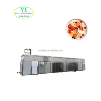 Aangepaste industriële hoog-efficiënte PLC-gestuurde roestvrijstalen 304 commerciële tunnel droogoven voor fruit met hoge suikergehalte, lade-type