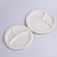 Assiettes BIRCHIO 9'' 100% compostables, 10'' à 3 compartiments, robustes, jetables, écologiques, biodégradables, à motif uni