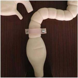 KyrenMed Koloskopie Untersuchung simulator Sigmoidos kopie Trainings modell Dickdarms imulator Pathologie modell - Product Image 5