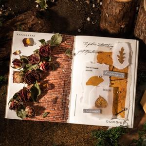 Pegatinas de Transferencia de la Serie Natural Trace - 2 Piezas de PVC Autoadhesivas para Decoración Navideña y Pegatinas para Cuadernos DIY - Product Image 4