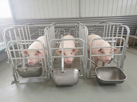 Cage de maternité pour truies, utilisée en élevage porcin, à vendre, avec plancher galvanisé