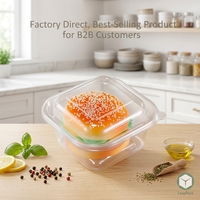 Boîte alimentaire carrée jetable en silicone transparent, type clamshell, pour salades, chips, sandwichs, sushis, pizzas, aliments pour animaux, pain