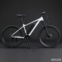 Vélo Électrique Adulte Personnalisable avec Logo, Jantes en Acier Allié, Charge Maximale 160 kg, Autonomie 60 km, Vente en Gros Transfrontalière Mondiale