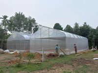 Serre agricole de grande taille en acier galvanisé, design à toit en croix, 9,6 m x 24 m, hauteur 4 m, avec système d'arrosage, forme dents de scie