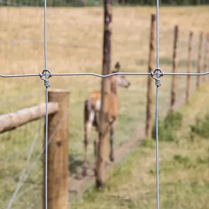Galvanized security fixed knot deer livestock farm wire fence