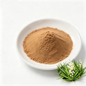 Poudre <span class=keywords><strong>d</strong></span>'extrait de <span class=keywords><strong>racine</strong></span> <span class=keywords><strong>d</strong></span>'ortie de haute qualité 10:1 20:1 Urtica Dioica Extrait de <span class=keywords><strong>racine</strong></span> <span class=keywords><strong>d</strong></span>'ortie piquante en poudre - Product Image 2