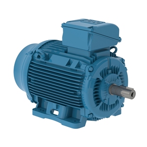 Baru dan asli W21 4P 2HP 220V 380V 60HZ tiga garis saham Motor cuci gudang dari Wegs - Product Image 5