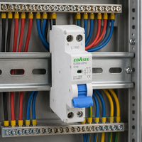 Disjoncteur miniature OEM/ODM EBASEE 1P+N MCB DPN Série 8 Gamme complète de produits 6KA C16 Rail DIN MCB