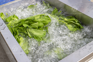 TS-200 <span class=keywords><strong>ozone</strong></span> khử trùng rau máy giặt trái cây và rau rửa máy làm sạch - Product Image 6