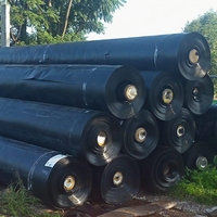 Revestimiento para Estanques de HDPE de 0.3mm, 0.5mm y 1mm, Marca GM13, Nuevo de Fábrica, Personalizado, Utilizado en Agricultura, Recursos Hídricos e Ingeniería Civil