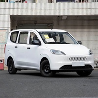 Wuling Hongguang 2025 Type Standard, Véhicule Utilitaire Multiplace (VUM) Hybride à Autonomie Étendue (REEV) avec 150 km d'autonomie électrique, Nouvelle Énergie