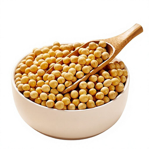 Soja de Tanzania, Sin GMO, Alto Contenido Proteico, Grado A, Soja Cruda, Suministro a Granel - Product Image 4