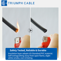Kabel Listrik Tembaga Berlapis Timah AWM ULStandard1028 6awg-22awg 600V Isolasi PVC Fleksibel Tahan Tekuk