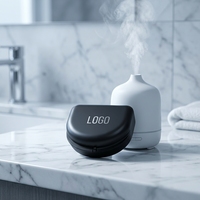 Boîte de rangement pour prothèses dentaires en PP de qualité alimentaire, ventilée, avec ouvertures, pour cliniques dentaires et usage domestique, vente en gros OEM