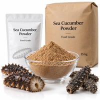 Poudre de Concombre de Mer en Vrac LongBio, Qualité Alimentaire, Protéine Marine Naturelle, Poudre de Concombre de Mer Séché Pur pour Compléments Alimentaires, OEM