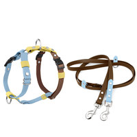 Ensemble Harnais, Collier et Laisse pour Chien en PVC Bicolore, Imperméable, Simple, Respirant, Réglable, Anti-Traction, Kit d'Entraînement