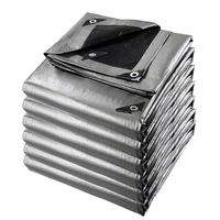 Bâche en polyéthylène tissé laminé traité anti-UV 120GSM 180GSM 240GSM avec œillets métalliques