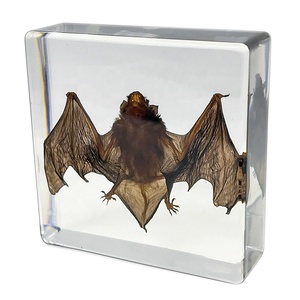 Espécimen de murciélago personalizado Resina de cristal única Real incrustada como recuerdo Decoración de vacaciones Regalo Hogar - Product Image 1