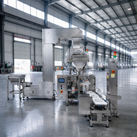 Machine d'emballage automatique de bonbons gélifiés avec comptage, remplissage, scellage, moteur PLC et sachets Doypack