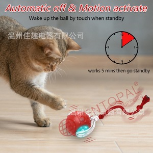 Cross-border pet toy <b>ball</b>, cat teaser, dog and cat self-entertainment and entertainment device, pet toy, pet supplies, cat toys - Product Image 3