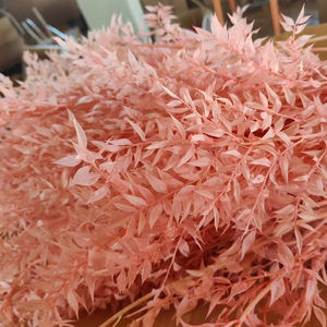 للبيع بالجملة حزم أوراق الأوكالبتوس الطبيعية المحفوظة المجففة من الأوكالبتوس الإيطالي الأبيض الحقيقي - Product Image 5