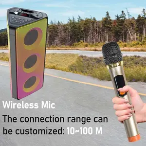 4*6.5 polegadas karaoke partido alto-falante com MIC novo molde privado com fogo cheio chama luz
