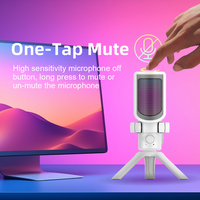 Youtube Podcast Microphones Condensateur Studio Microphone d'enregistrement Bureau RGB Sing Microphone Mic