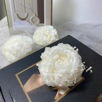 Produsen Bunga Langsung dari Pabrik, Bunga Awet Buatan Tangan, Mawar Gaya Eropa, Peony Tahan Lama, Peony Herbal Cina