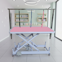 Table de toilettage pour animaux de compagnie VET, prix d'usine, OEM, réutilisable, avec élévateur hydraulique, hauteur réglable, lumière LED pour chiens - Marque VET, modèle VET-10