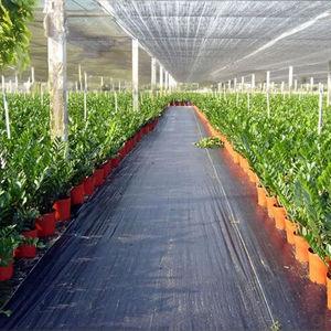 60gsm-200gsm barrière contre les mauvaises herbes paysage tissu robuste tissé <span class=keywords><strong>géotextile</strong></span> bloc de mauvaises herbes tapis de jardinage tapis de mauvaises herbes - Product Image 5