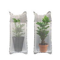 Emballage de protection de transport transparent personnalisé sacs à colonne d'air à coussin gonflable pour fleurs plantes en pot