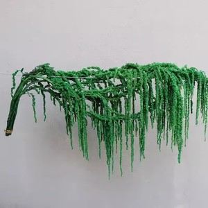 <span class=keywords><strong>Amaranto</strong></span> Preservado Natural de Alta Calidad T2035, <span class=keywords><strong>Amaranto</strong></span> Colgante Preservado para Navidad, Acción de Gracias y Bodas - Product Image 4