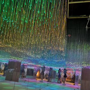 Internet Đỏ bầu trời đầy sao âm nhạc Thanh Nhà Hàng LED Đèn sợi quang đầy màu sắc hướng dẫn ánh sáng sợi quang với các tính năng thay đổi màu sắc - Product Image 4