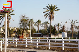 <span class=keywords><strong>3</strong></span> рельсы дешевые ПВХ лошадь изгородь пластиковые панели, белый виниловый столб и железной ограды, загон для лошадей забор - Product Image 6