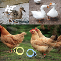 F-004 oiseau Clip-On jambe anneaux pied anneau bandes nouvelle condition pour Pigeon poussins petite volaille poulet équipement d'élevage
