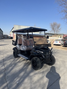 Xe điện golf hạng sang WELIFTRICH 6 chỗ ngồi, địa hình, sử dụng pin Lithium 72V, khung thép, không dùng xăng, xe điện 48V dành cho tham quan - Product Image 5