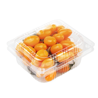 Transparante wegwerp 250 gram PET plastic fruitbakje kersen bosbessen blister clamshell verpakking met gaten
