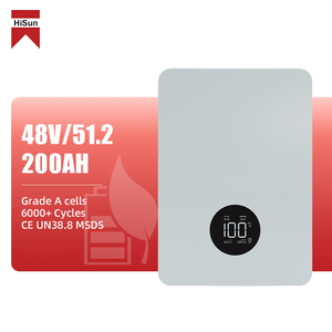 히순 10kWh 51.2V 200Ah 벽걸이형 리튬인산철 배터리 팩 가정용 태양광 에너지 저장 배터리 가정용 에너지 저장 배터리 - Product Image 1