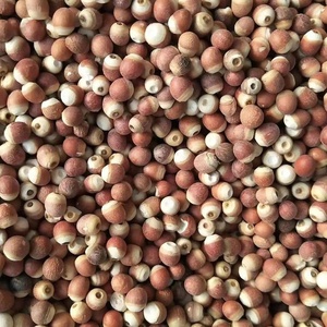 Graines de fruit de gorgon séchées à base d'herbes simples de Chine, de haute qualité, semence d'euryale, gorgon rouge séché sain, graines d'euryale - Product Image 5