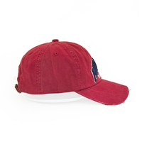 Gorras de béisbol con letras y logotipo bordado personalizado, gorras de algodón ajustables de alta calidad, gorra deportiva de algodón 100% curvada de 6 paneles