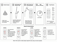 Kit de test rapide combiné antigénique pour la panleucopénie féline et la giardiose (FPV GIA) à l'or colloïdal pour le diagnostic vétérinaire des chats
