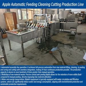 Commerciële appelontpitter en -schilmachine, automatische fruitwas- en schilmachine, <span class=keywords><strong>mango</strong></span>-appel-fruit schilmachine met transportband - Product Image 5