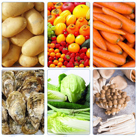 Rouleau de brosse de laine de fruits de légumes de racine d'igname nettoyez la peau de pomme de terre automatique et la machine de lavage d'orange