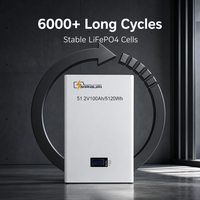 Batterie solaire LiFePO4 51,2V 100Ah 48V 5,12kWh 6000 cycles, système de stockage d'énergie domestique mural pour la sauvegarde de toute la maison