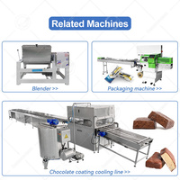 Ligne de production de barres céréalières aux fruits OCEAN, extrudeuse et coupeuse de barres protéinées enrobées de chocolat