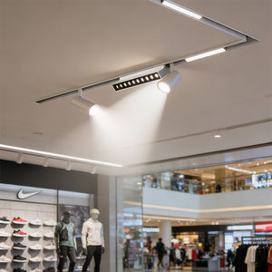 Éclairage <span class=keywords><strong>sur</strong></span> <span class=keywords><strong>rail</strong></span> magnétique encastré LED blanc intelligent 8w 3000k 48v Projecteur à gradation <span class=keywords><strong>sur</strong></span> <span class=keywords><strong>rail</strong></span> linéaire à double tête pour salon et bureau - Product Image 1