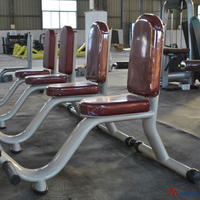 Chaise romaine réglable et banc de musculation multifonctionnel pour l'entraînement du tronc et de la force