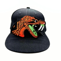 Écussons brodés personnalisés FAMU Rattler HBCU, design de mode, écussons brodés de dessins animés, sororité grecque, à repasser